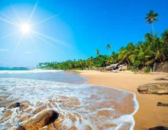 East Coast to South Coast – 8 Days of Sri Lanka’s Best Beaches & Heritage