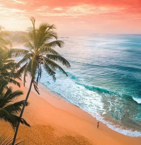 7 Days / 6 Nights – Sri Lanka Beach Escape Tour with Turtle Hatchery